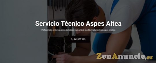 Servicio Técnico Aspes Altea 965217105